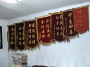 华佗在世 