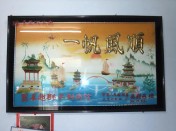 医术超群 