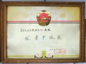 优秀个体医