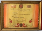 优秀个体医